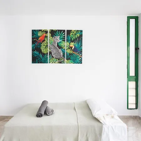 Black Cat Surf House 1 C *