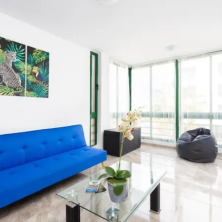 Guest house Black Cat Surf House 1 C *
