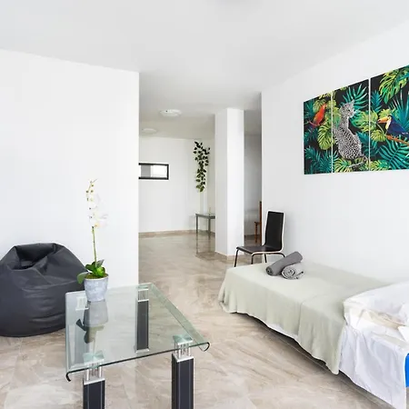 Black Cat Surf House 1 C *